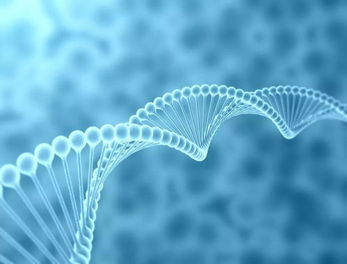 衣服與人類進化 生物技術視角下的重新審視