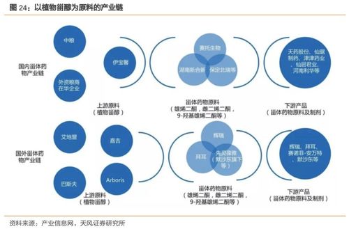 溢多利 專注研發創新的生物技術隱形冠軍，替抗業務迎來高增長