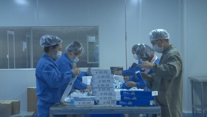 綿陽梓潼 生物醫(yī)藥企業(yè)開足馬力保生產 技術研發(fā)驅動防疫物資供應