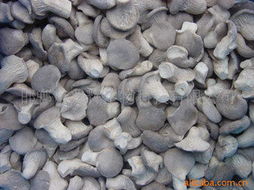 邯鄲市兆輝生物科技 深耕生物技術(shù)開發(fā)，打造多元化高品質(zhì)食用菌產(chǎn)品矩陣